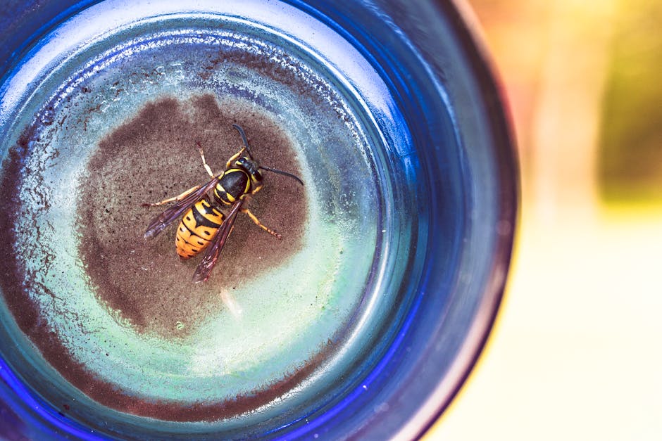 Vespa intrappolata in un bicchiere blu: analisi del diametro del cerchio unico e riflessioni pratiche sull'intrappolamento di insetti.