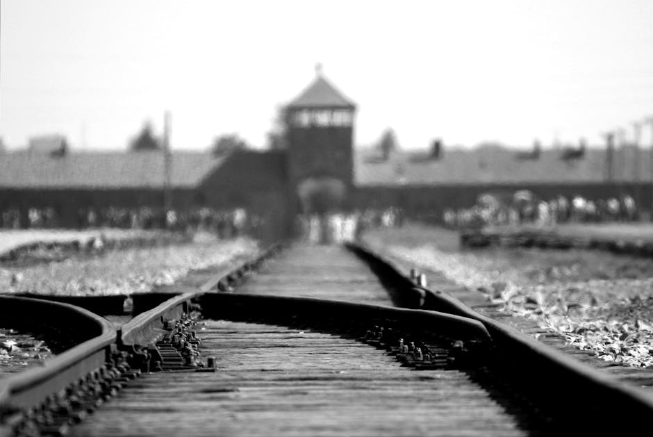 Binari ad Auschwitz Birkenau: memoria della maestra genovese deportata e internata nel campo di concentramento nazista durante la Seconda Guerra Mondiale.