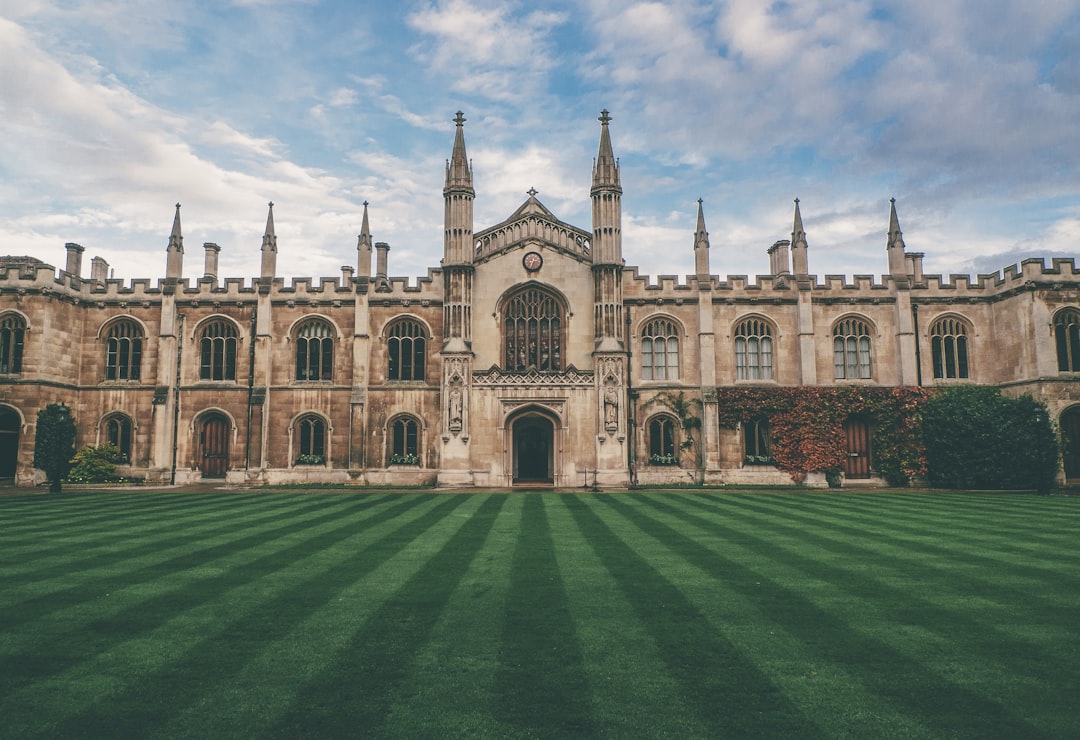 Riforma della scuola britannica: il modello di parità tra percorsi accademici e tecnici e l'integrazione dell'IA