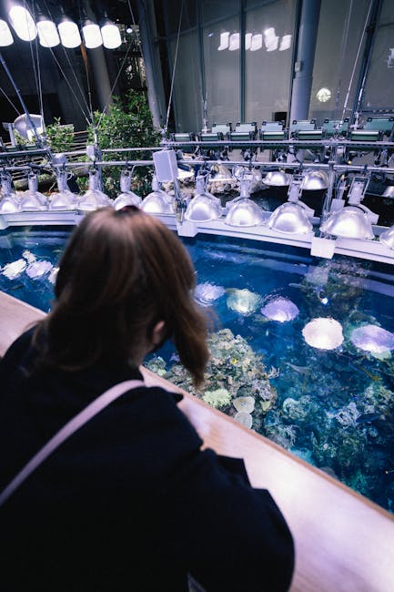 Ragazza osserva acquario circolare illuminato, esempio di apprendimento esperienziale e coinvolgente in un contesto educativo unico.