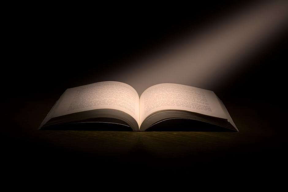 Libro aperto illuminato, simbolo di ricerca e studio a Gimigliano con Unibo, centro di studi e ricerche a 360 gradi. Approfondimento e conoscenza.