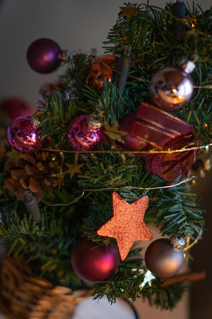 Auguri di Natale, Valditara: “Oggi non è un giorno qualsiasi, tutti coloro che si riconoscono nella nostra civiltà festeggiano il Natale” — approfondimento e guida