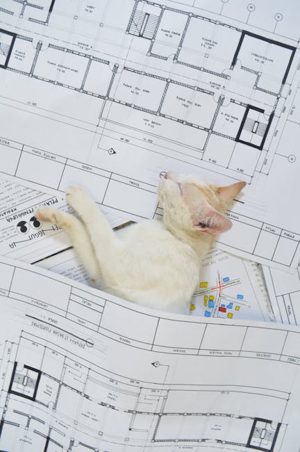 Gatto bianco riposa su progetti architettonici, metafora per la pianificazione nel Piano di Studi Unico Ingegneria Gestionale
