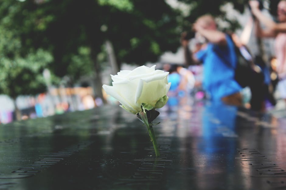 Rosa bianca solitaria su memoriale con nomi incisi, simbolo di ricordo e riflessione nel contesto del Vajont e delle sue vittime.