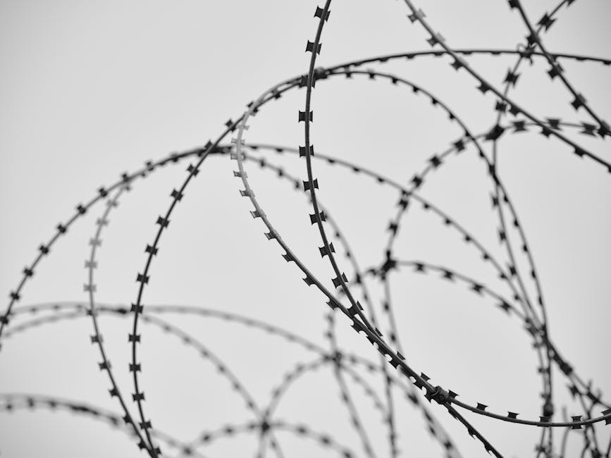 Prevenzione delle Minacce nelle Scuole di Napoli: Controlli con Metal Detector e Strategie di Sicurezza
