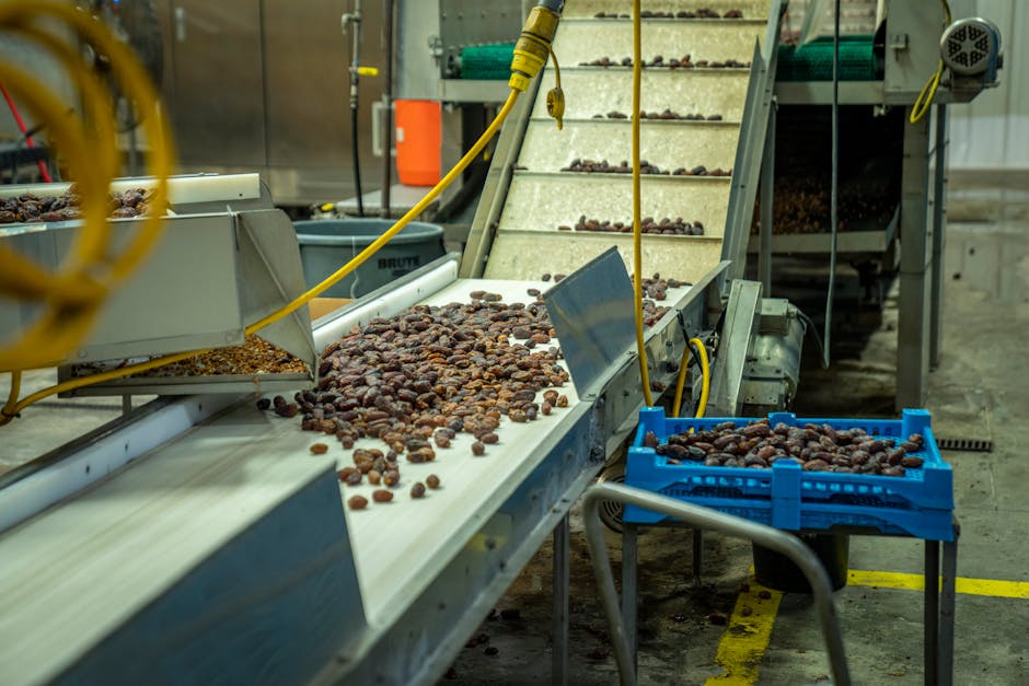 Nuove Indicazioni Nazionali per gli Istituti Tecnici: Focus su Tecnologie Digitali in Agricoltura, Gestione del Territorio e Filiera Agroalimentare