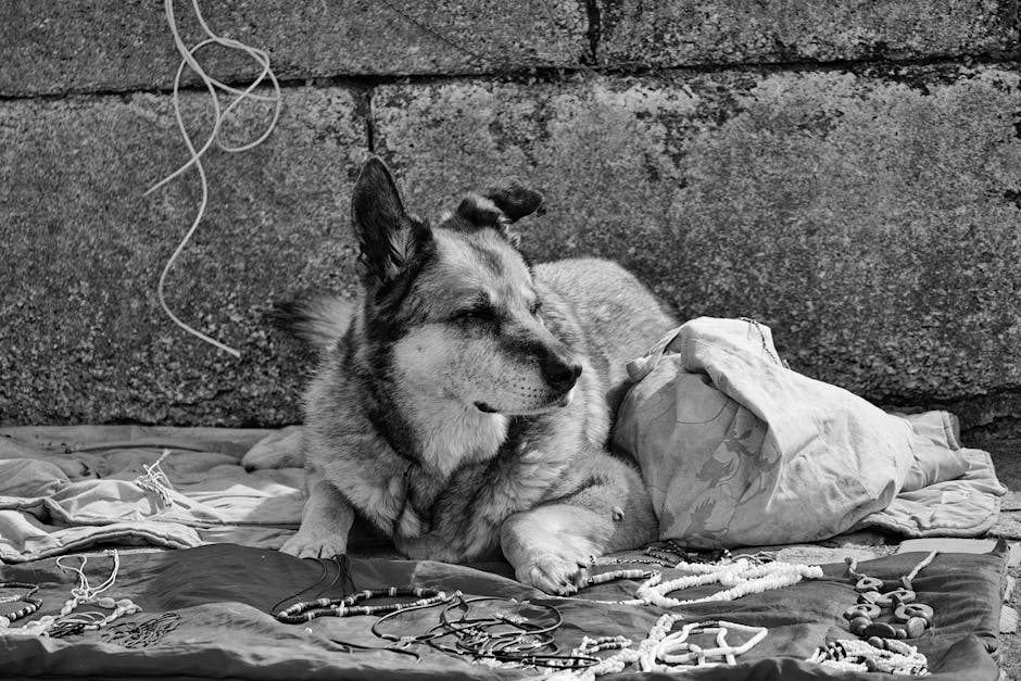 Paura in un asilo nido a Milano: fuga di monossido di carbonio coinvolge 12 bambini, 2 insegnanti e 2 genitori