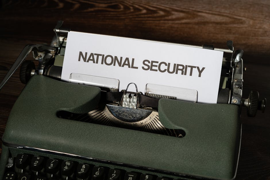 Guida Completa al Concorso PNRR 3: Novità sulla FAQ del Servizio Civile Nazionale e Universale