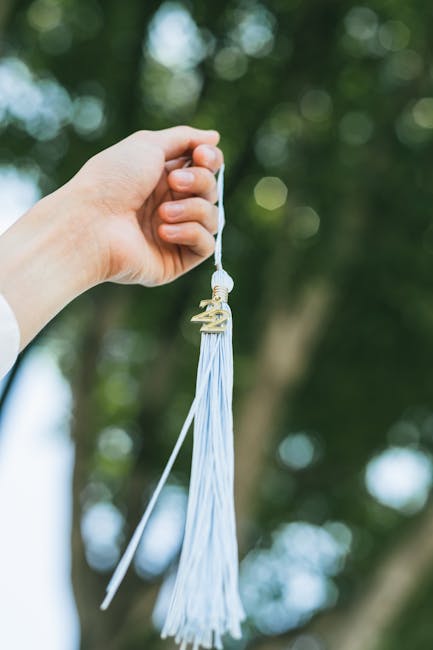 Tocca di laurea e nuovi percorsi abilitanti TFA sostegno: aggiornamenti Ministero Istruzione e Merito per il futuro dei docenti.