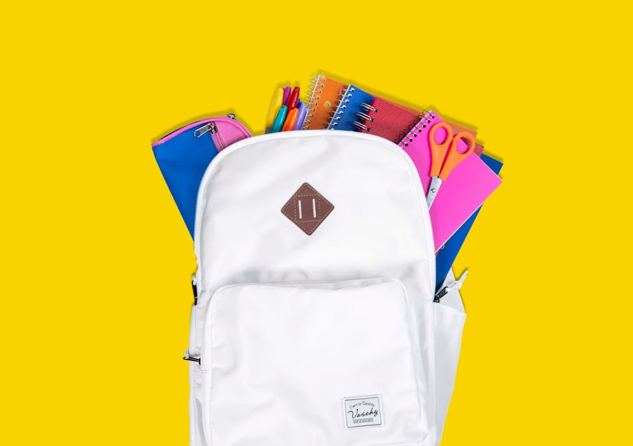 Registro elettronico: accesso agli studenti delle scuole medie limitato a SPID e CIE