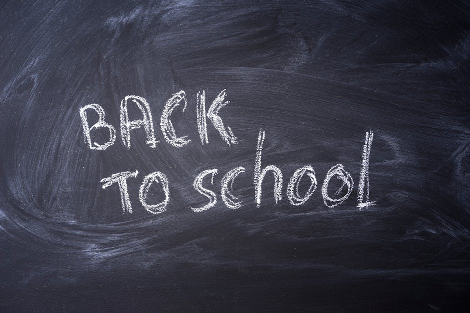 Scuole aperte in estate: Anief boccia la riapertura di agosto in Emilia Romagna e propone l’inizio delle lezioni al 1° ottobre