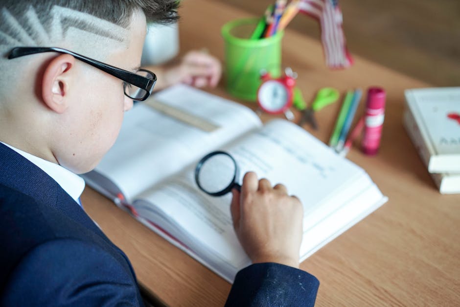 Collocamento mirato e disabilità intellettive: perché solo il 10,9% trova lavoro e cosa fare in scuola