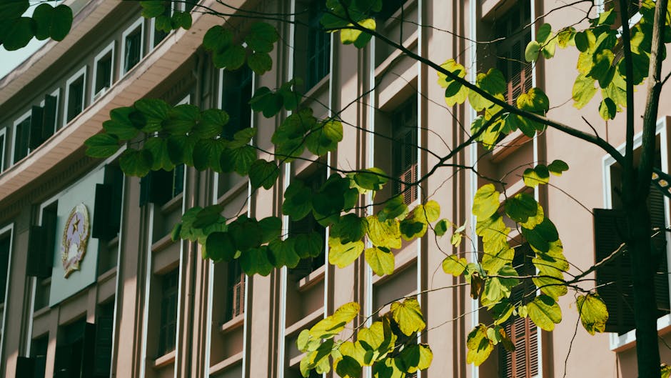 Edificio scolastico con finestre chiuse e foglie verdi in primo piano, simbolo del problema del caldo nelle scuole e della necessità di soluzioni climatiche.