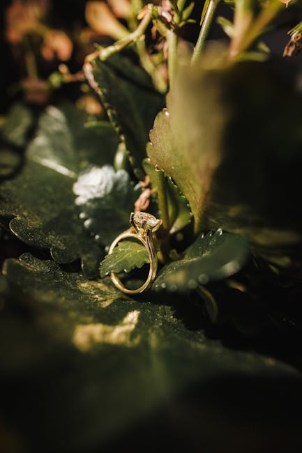 Proposta di legge dell'Alleanza Verdi-Sinistra per classi più piccole: battaglia contro le classi pollaio