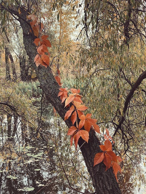 9 Ottobre al Vajont: Un Ecosistema di Memoria e Riflessione