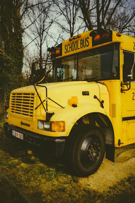 Scuolabus giallo in Friuli Venezia Giulia: focus sull'estensione del servizio alla scuola dell'infanzia e semplificazione burocratica.