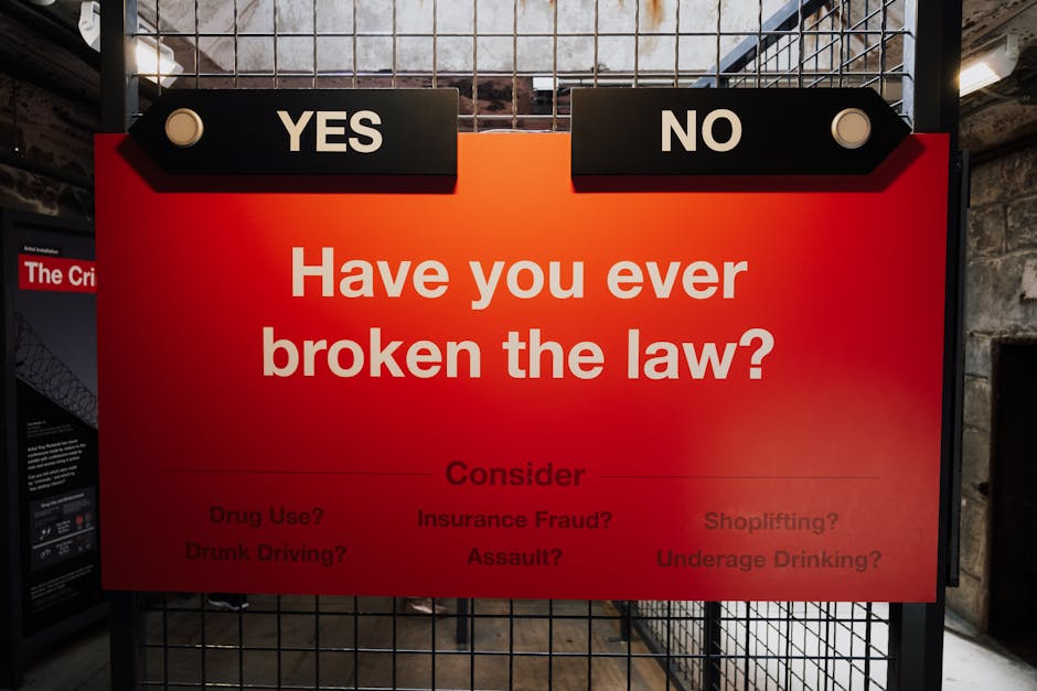 Crans-Montana, Frassinetti: l'importanza dell’Educazione Civica per migliorare la conoscenza delle norme di comportamento