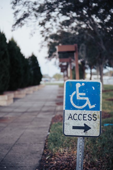 Graduatorie ATA: la CIAD vale solo per un nuovo accesso o anche per l’aggiornamento? — approfondimento e guida