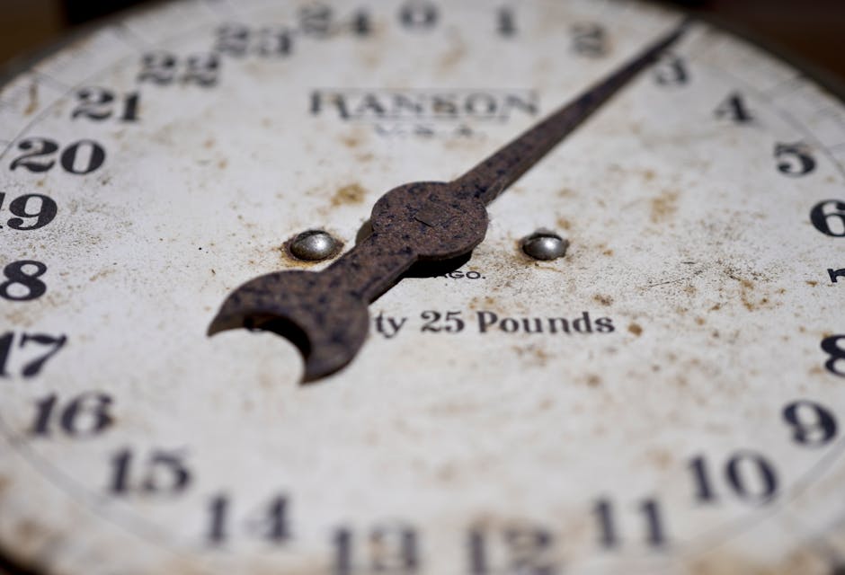 Bilancia vintage con indicatore su 25 libbre, utile per conversione libbre chilo e comprensione misure di peso