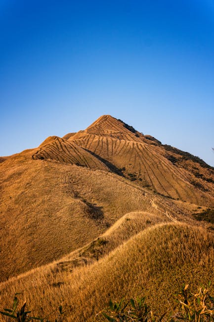 Paesaggio collinare taiwanese evocativo della resilienza dell'industria dei semiconduttori di Taiwan di fronte alle pressioni USA