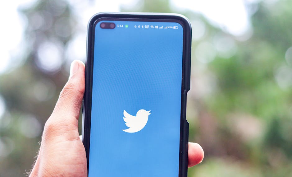 Smartphone con logo Twitter: social media e PA, nuove figure digital manager per la comunicazione istituzionale e l'innovazione.