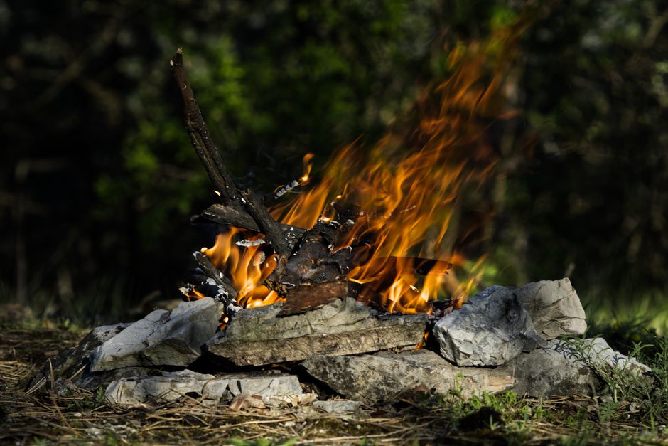 Incendi boschivi: la Regione Lazio introduce la prevenzione ambientale nei programmi scolastici