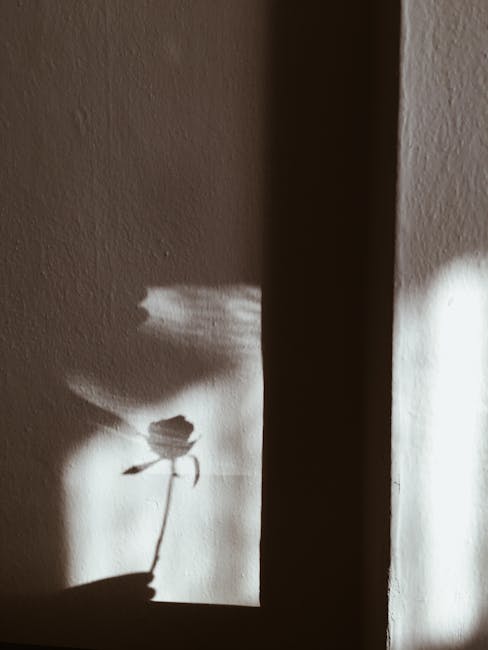 Ombra di rosa su muro, metafora visiva del Teorema Cilea e la sua eleganza nella geometria proiettiva, luce e forma