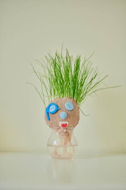Testa di cocco con erba che cresce come capelli, attività creativa per bambini che stimola la crescita e l'immaginazione.