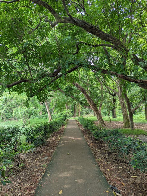 Esplorare le Competenze della Codifica e i Suoi Benefici: Un Viaggio nel Mondo della Programmazione