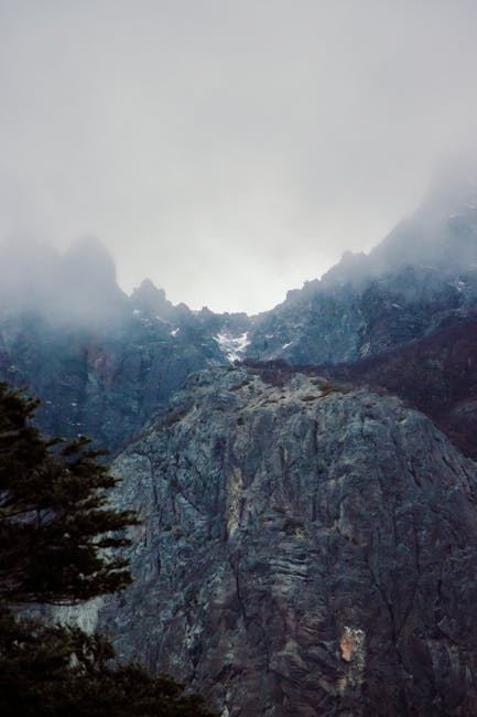 Paesaggio montano nebbioso che evoca solitudine e isolamento, metafora della separazione familiare e del trasferimento in altra struttura.