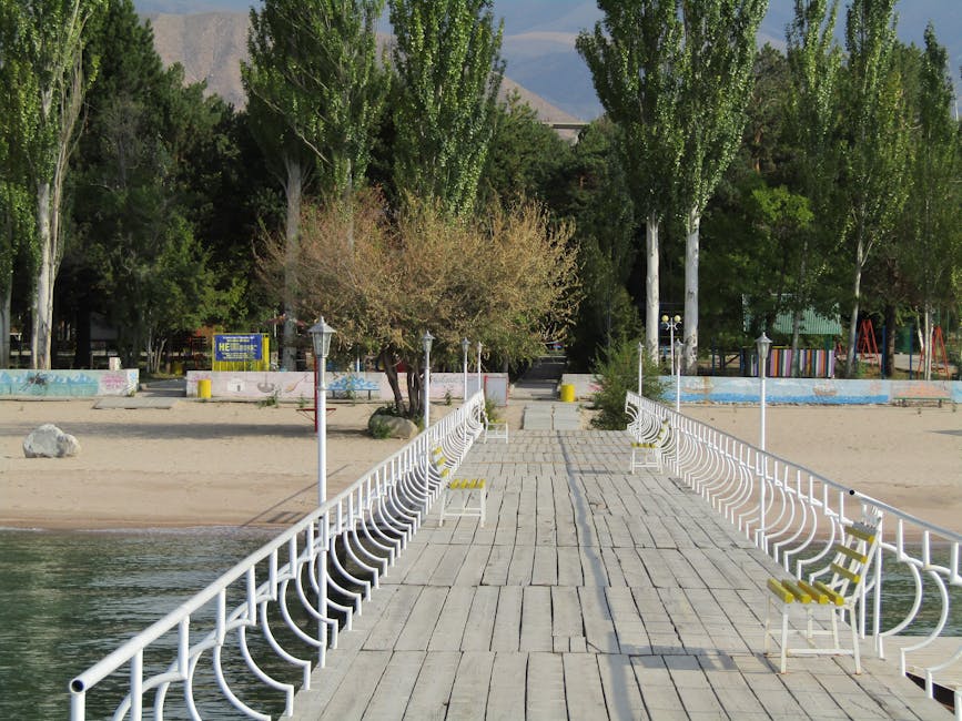 Paesaggio lacustre con pontile e panchine, ideale per articolo su Carta ATA e punteggio 24 mesi per il Mondo ATA. Iscriviti gratis.