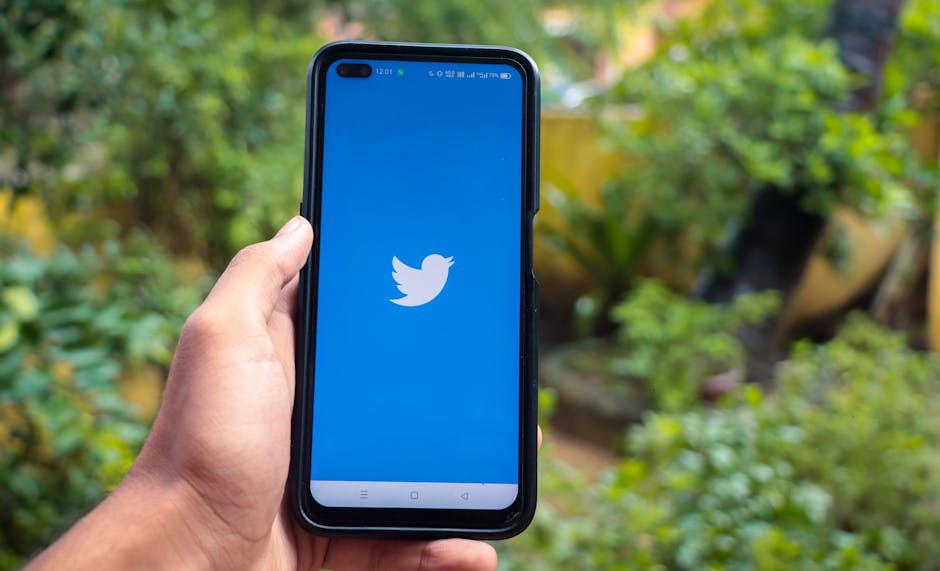 Smartphone con logo Twitter: importanza dell'identità visiva per distinguersi sui social media e attrarre follower unici.