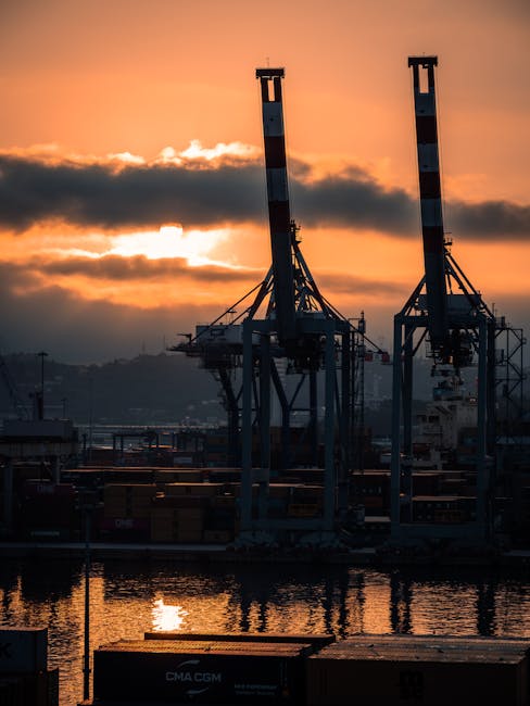 Porto di La Spezia al tramonto, riflessi sull'acqua. Immagine evocativa legata al ruolo dei giovani maschi nella società.