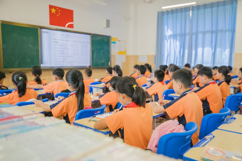 55 alunni in una classe in Cina: cosa significano i dati e quale lezione per la scuola italiana
