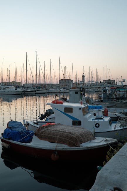 La forza lavoro pubblica del Friuli Venezia Giulia nel 2024: un approfondimento