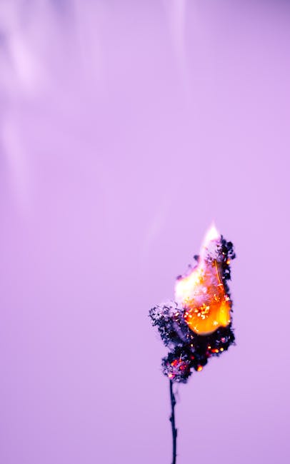 Docente e secondo lavoro: immagine concettuale di una fiamma che si consuma, metafora del rischio di licenziamento per omissioni.