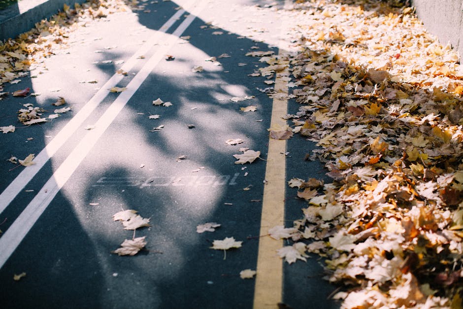 Contributo ANAC: Disponibili gli avvisi pagoPA per le gare pubblicate tra settembre e ottobre 2025 — approfondimento e guida
