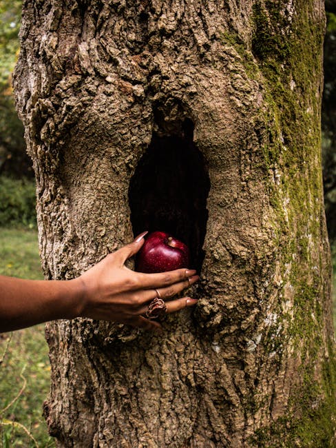 Mano che offre una mela rossa da una cavità in un albero, simbolo di salute e benessere in un articolo su come vivere meglio.