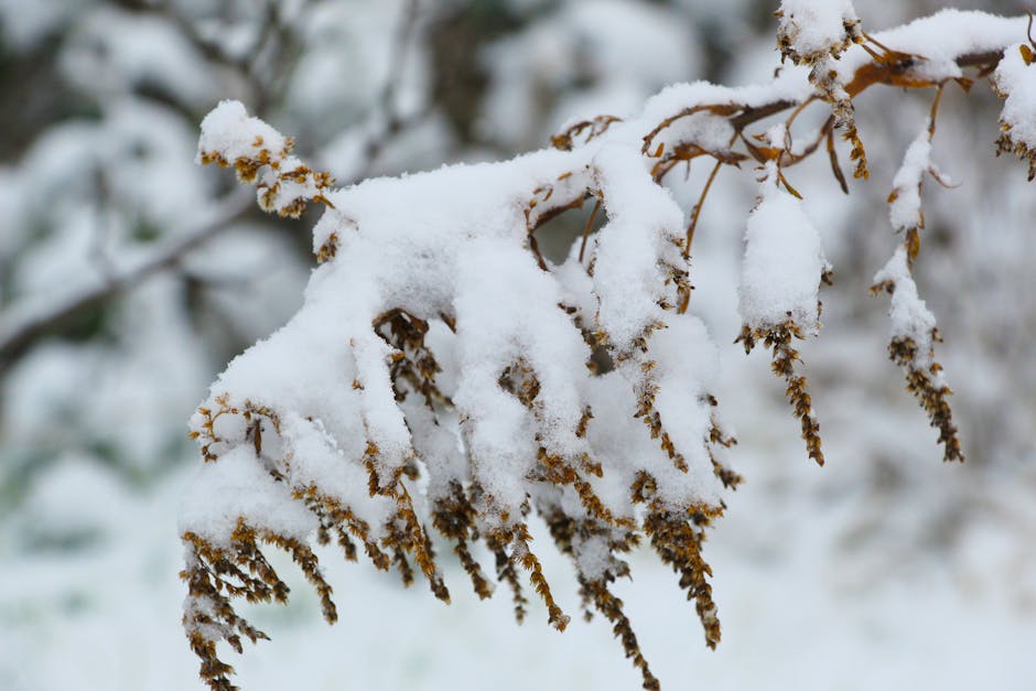Allerta meteo del 22 gennaio: scuole ancora chiuse in Sicilia e Calabria