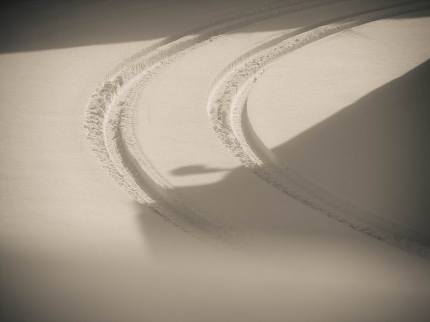 Segni di pneumatici su neve: metafora vendetta e danno auto a Reggio Emilia dopo richiamo del dirigente scolastico al dipendente