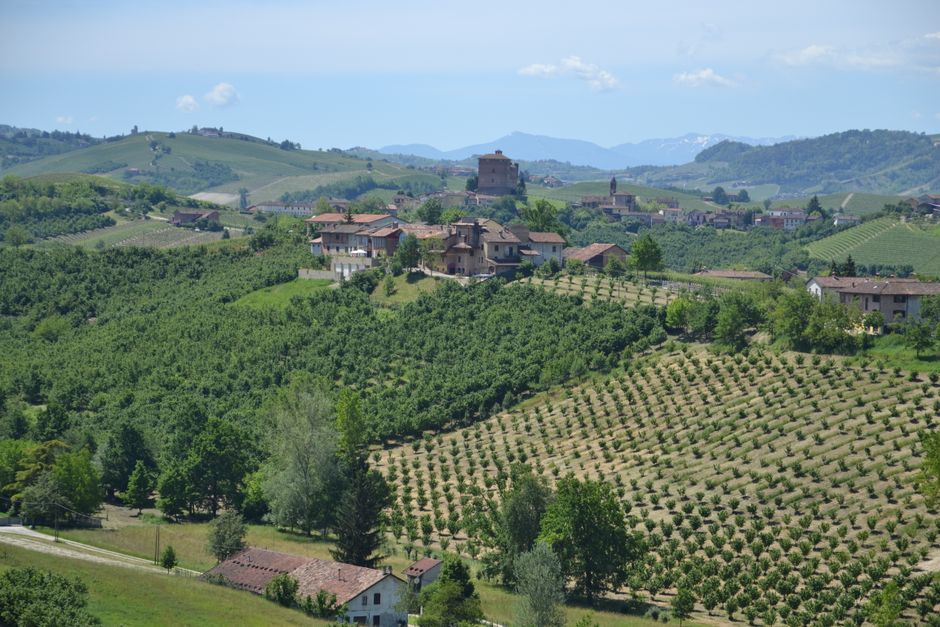 DSA e bocciatura: il TAR Piemonte chiarisce i limiti del PDP e l'onere della prova per le famiglie