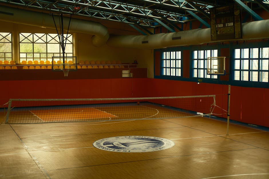 Palestre scolastiche e DDL sulle società sportive: M5S dice sì; Aloisio: “Passo utile per valorizzare il patrimonio pubblico, ma molte strutture sono obsolete”