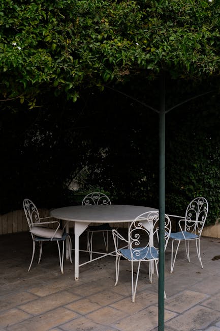 Tavolo e sedie da giardino sotto un albero ombroso, metafora del dibattito sulla riforma dei quadri orari e la Geografia.