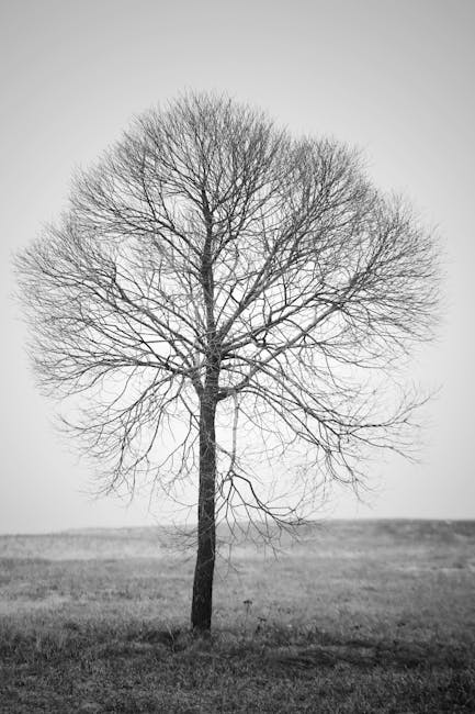 Aggiornamento GPS 2026: anticipazioni invernali e niente seconda apertura ad aprile