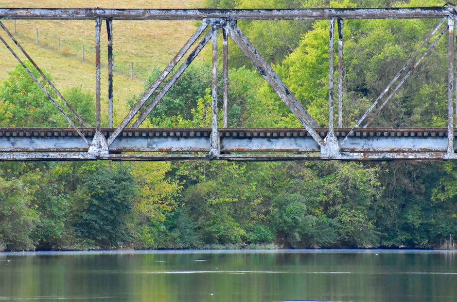 Oltre 208 milioni di euro dall’Erasmus+ destinati all’Ucraina tra mobilità, formazione e cooperazione