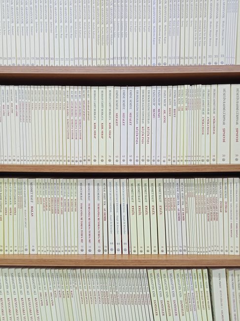 Scaffali di libri con titoli che suggeriscono una guida strategica per la gestione del precariato scolastico, con focus su supplenze brevi e incarichi annuali.