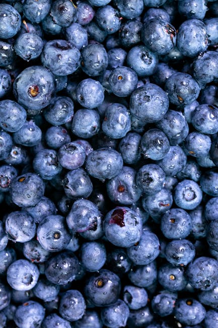 Primo piano di mirtilli freschi e succosi, perfetti per una colazione sana o uno spuntino nutriente. Scopri di più sui mesi!