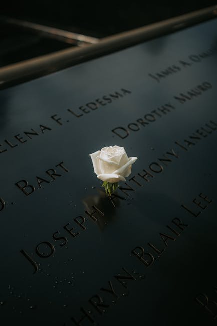 Rosa bianca su lapide commemorativa con nomi delle vittime dell'attentato di Bologna, simbolo di ricordo e riflessione sulla tragedia nazionale.