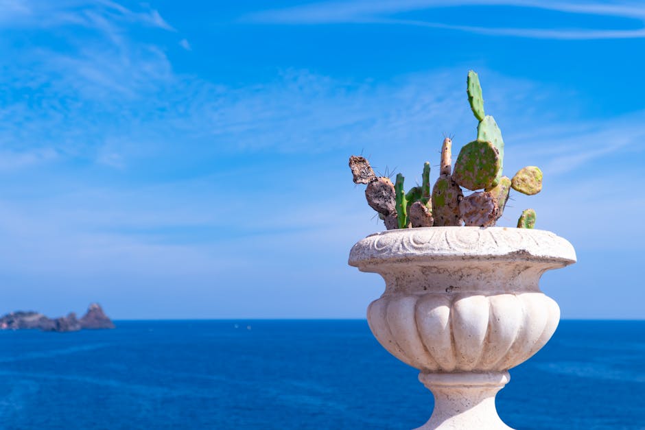 Vaso di cactus con vista mare in Sicilia, simbolo dei costi elevati dei voli per le isole durante le vacanze natalizie