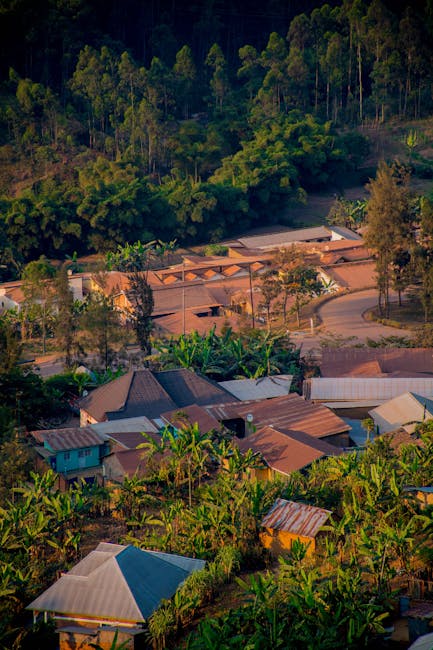 Paesaggio rurale con case e vegetazione lussureggiante, esempio di sviluppo territoriale sostenibile e valorizzazione degli enti locali.